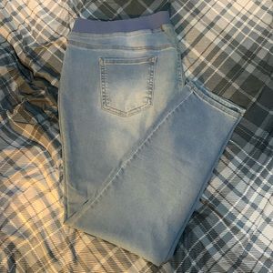 Terra & Sky Jeggings 3x (24/26W)